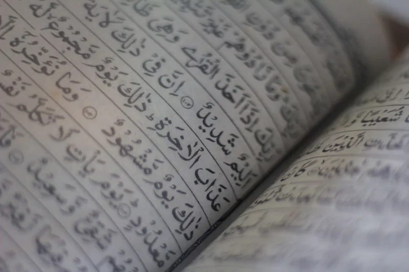 Wasta, Sumud, and the Words Behind the Headlines: A Short Glossary for Confused News Readers